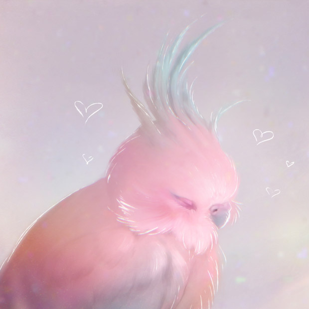 Pink Valentine - Personal Work budgie bird